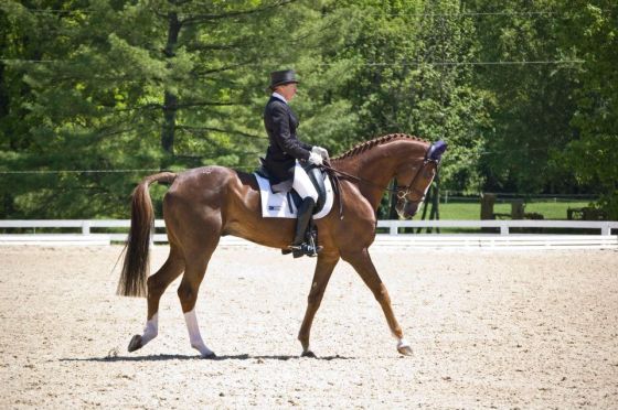 Ermahgerd Mr. Medicott, hopefully we will see him in the 2* with P-Dutty