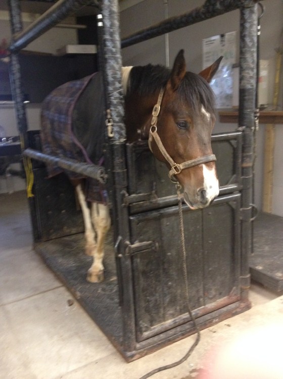 Sleepy post-scoping Foster