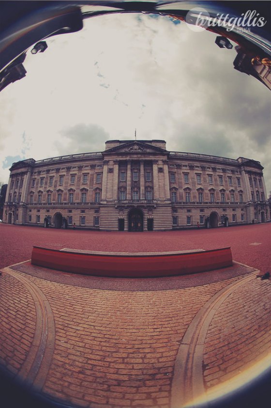 3913686_10101188175962759_1492058625_o