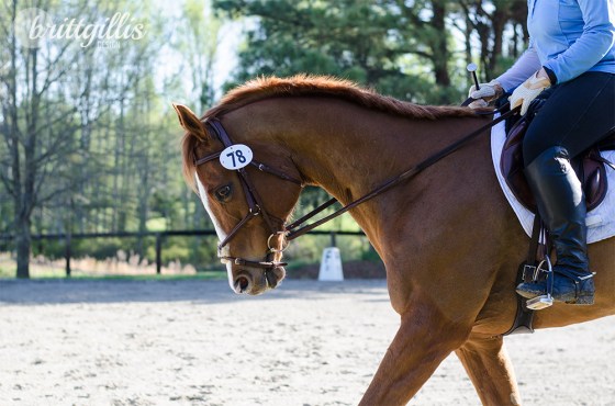 Even a bling squirrel finds a nut though