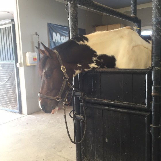 Sleepy Foster starts to wake up in the stocks