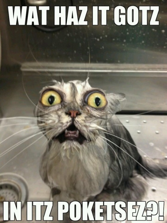 Can't. Stop. Laughing.