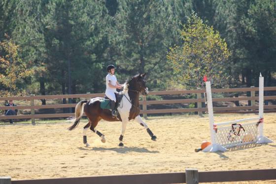 He makes me giggle sometimes too