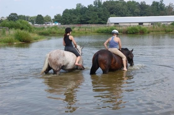 pond riding
