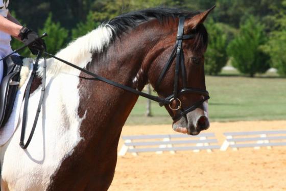 Photo by High Time Photography