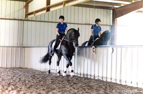 This lovely creature rode in the First level demo