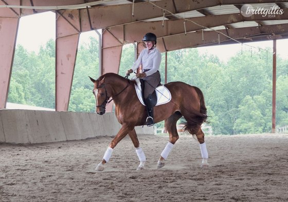 I developed a girl crush on this mare