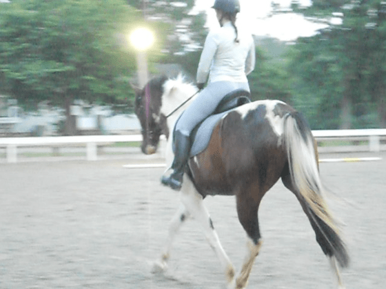 Working on the half-pass left