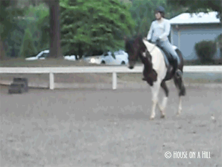 walk half pass animated gif