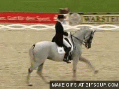 Judge's Comment: Movements not required at this level