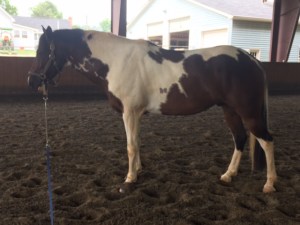 And for stopping, we like to take conformation photos