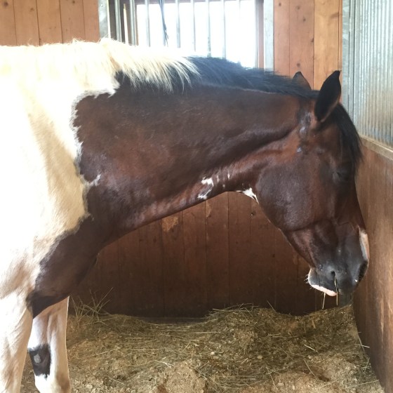 Feel bad for lightweight Fosterpants