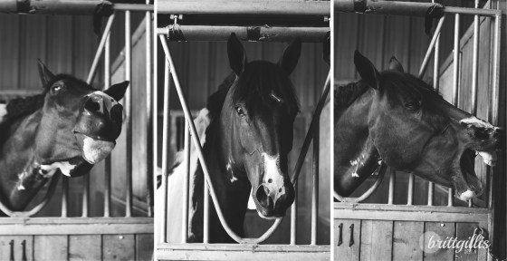 My sweet boy in his pre-surgery photoshoot