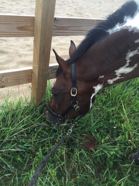 Lots of this. Lots and lots of this.