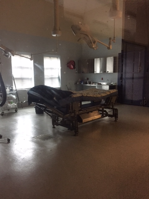 The site of the surgery