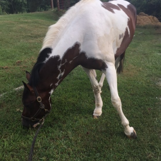 Check out his massive bandage