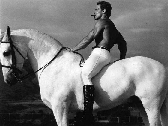 Or, ya know, the female equivalent of this.