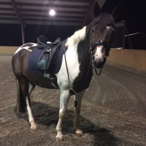 This sight, pudginess and all, warms my heart