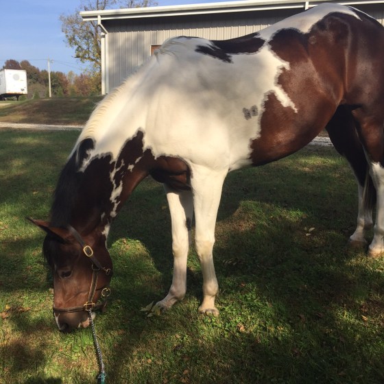 Someone got a bath for the first time in 2 months!