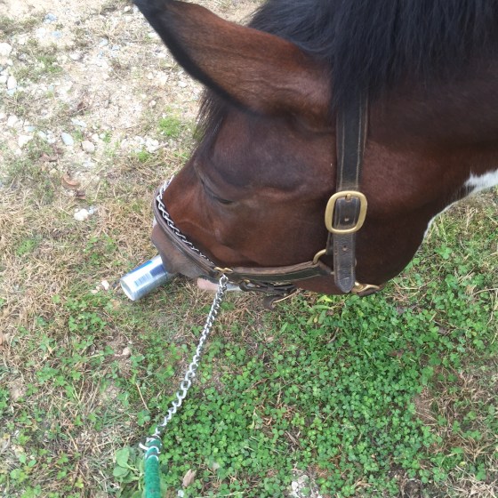 Trying to steal my juice