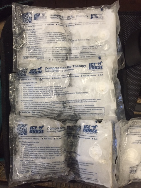 The ice packs after the first few uses and before I learned how to store them in the freezer