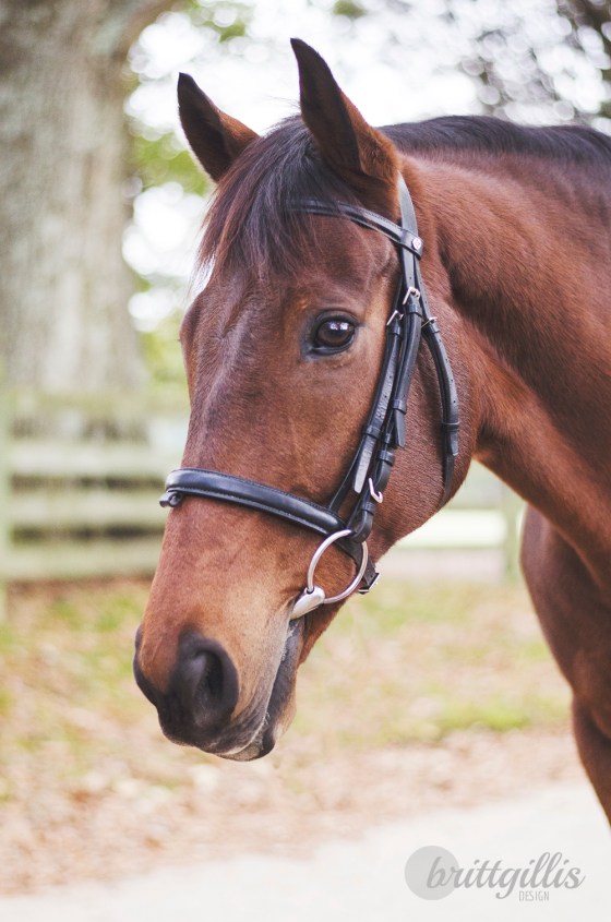 web_AmandaAndDavid_455