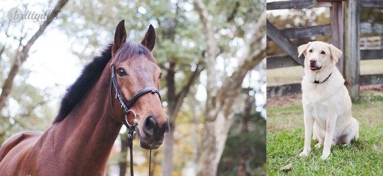 web_composite_AmandaAndDavid_471