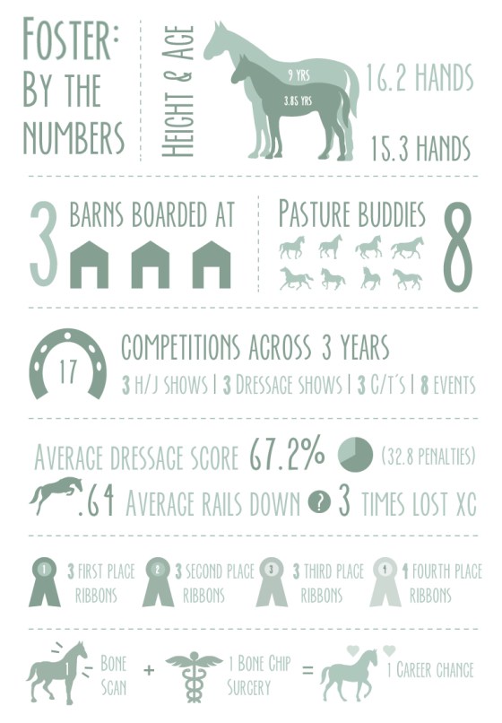 FosterInfographic