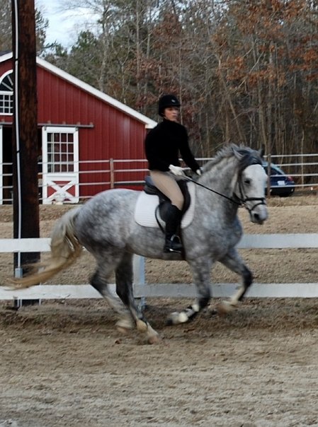 Hello, ultra long stirrups. Hello, chair seat.