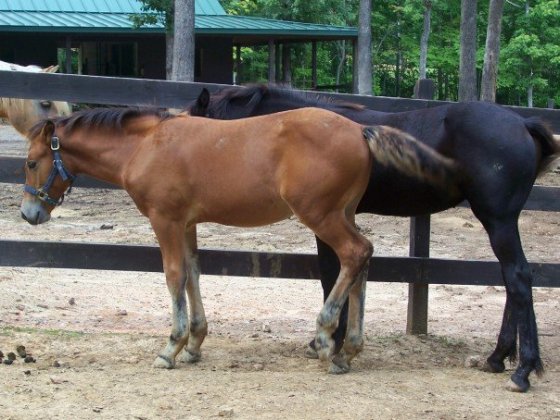 1909825_525026311019_2588_n