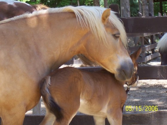 1927687_525026106429_549_n