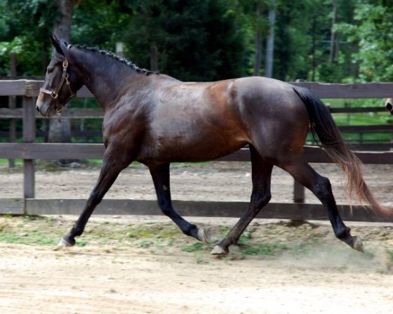 5148_698993284809_2310868_n