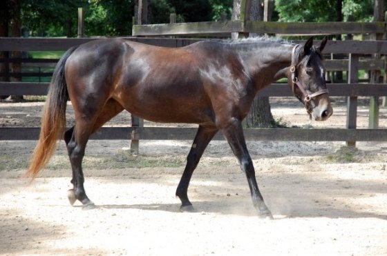 5148_698993289799_2262667_n