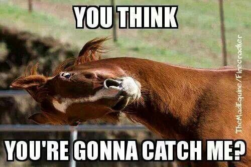 She'll never know they had to tranq me this morning to bring me in...