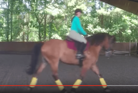 Blurry ass screen grab complete with youtube line. Now that's quality media.