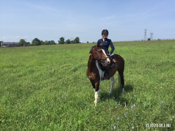 .... and a 15.2h pony from the same day