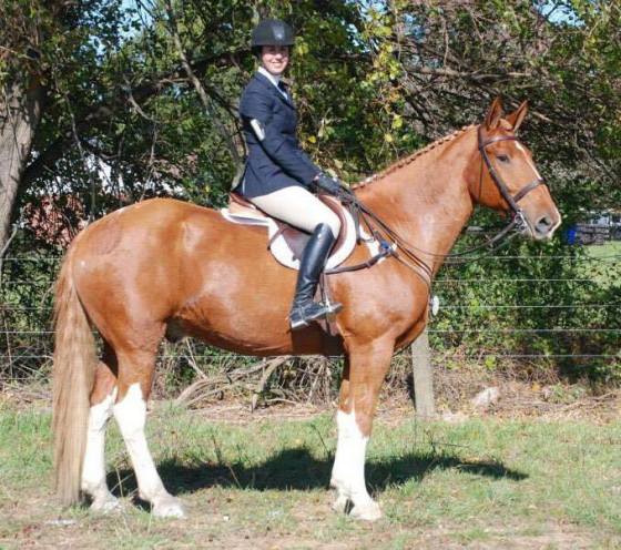 14330966_904303263003_183322467_n