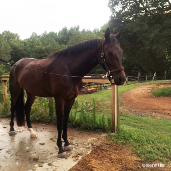 Just trying to break up walls of text here...