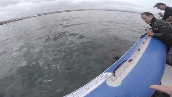 Get that out of your mouth Smitty!