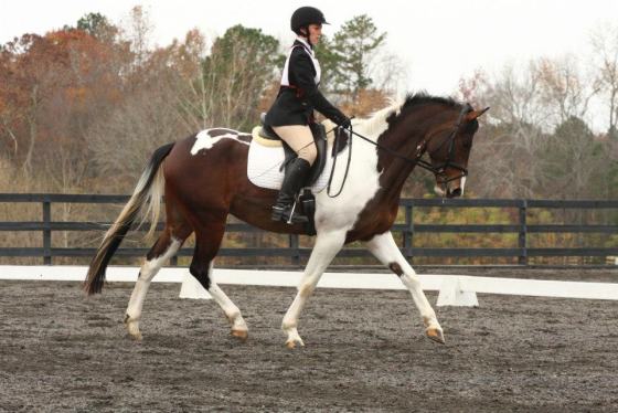 254873_10100950863533769_1270492032_n