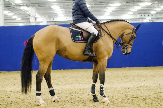 fb-england2016-121-copy