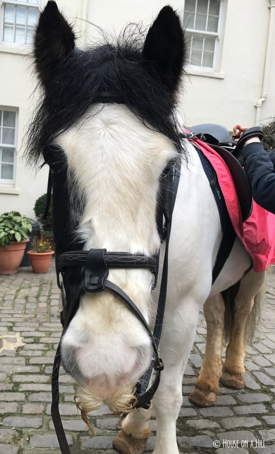 photo-dec-17-6-57-29-am-copy