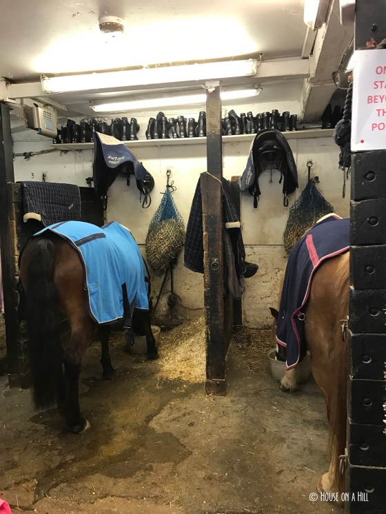 photo-dec-17-7-07-57-am-copy