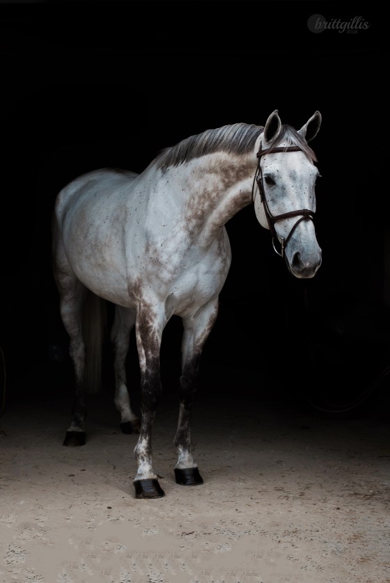 fb-fernando-quincy-9