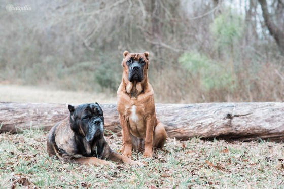 fb-worthashot-4-copy