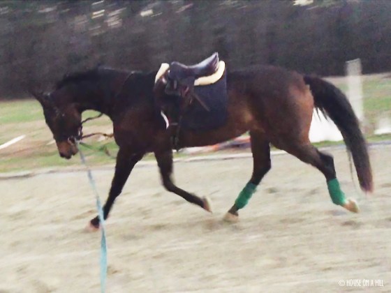 though sometimes going forward takes encouragement