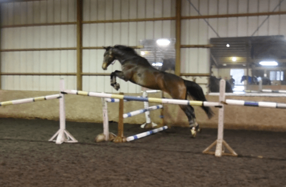 screen-shot-2017-01-23-at-1-23-18-pm