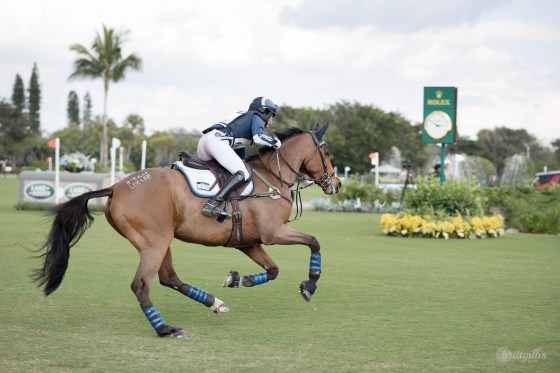 web-ibella-cambalda-compete-4