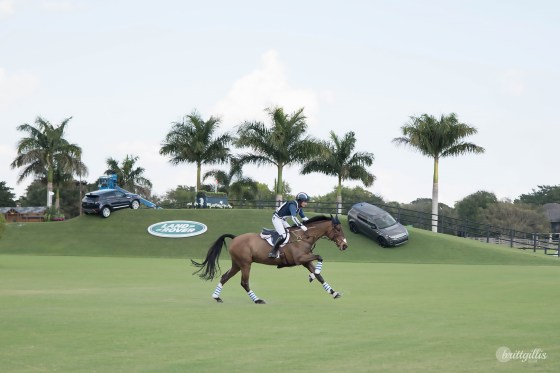 web-ibella-cambalda-compete-5