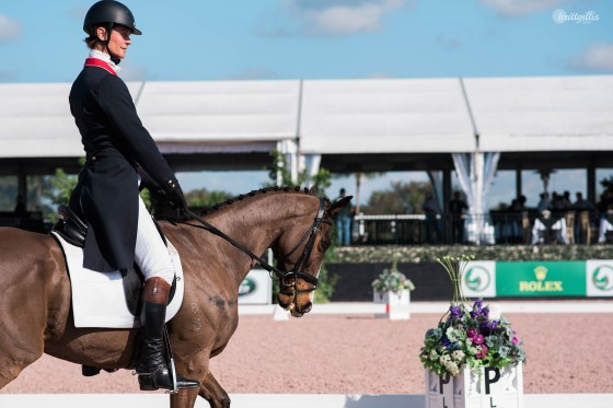 web-wellington-showcase-14